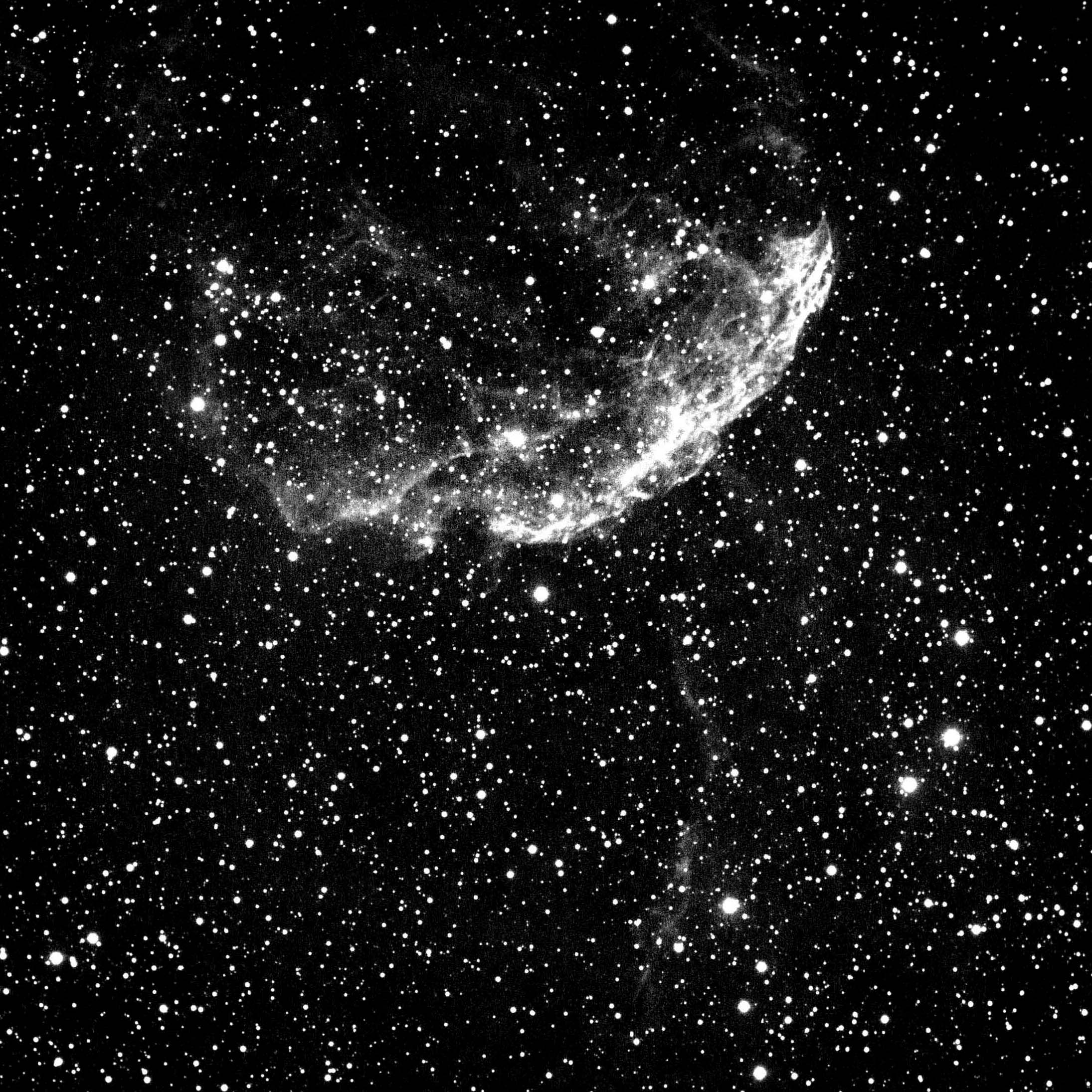 Jelly Fish Nebula